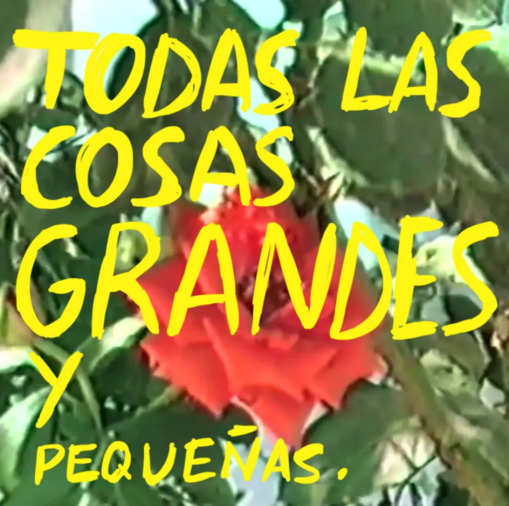 Casa Reptil Todas Las Cosas Grandes Pequenas Album Art