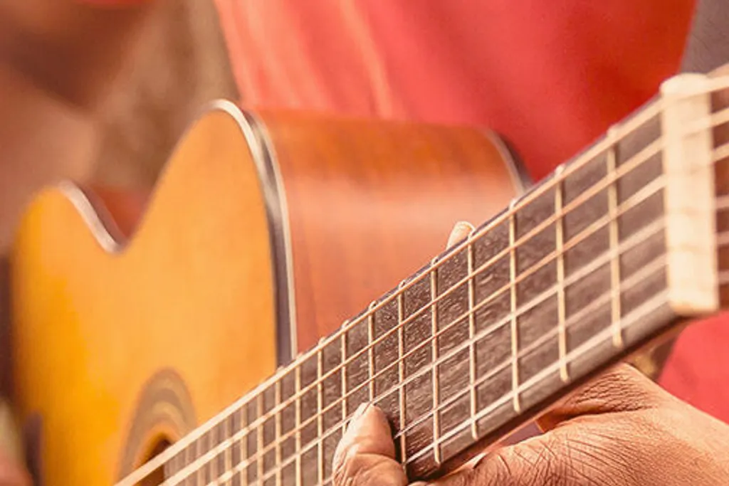 DI Yaccoustic Instrument Cover