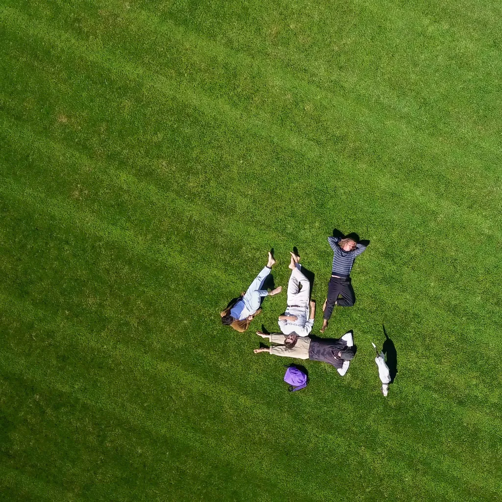 Un groupe de personnes couchees dans l'herbe