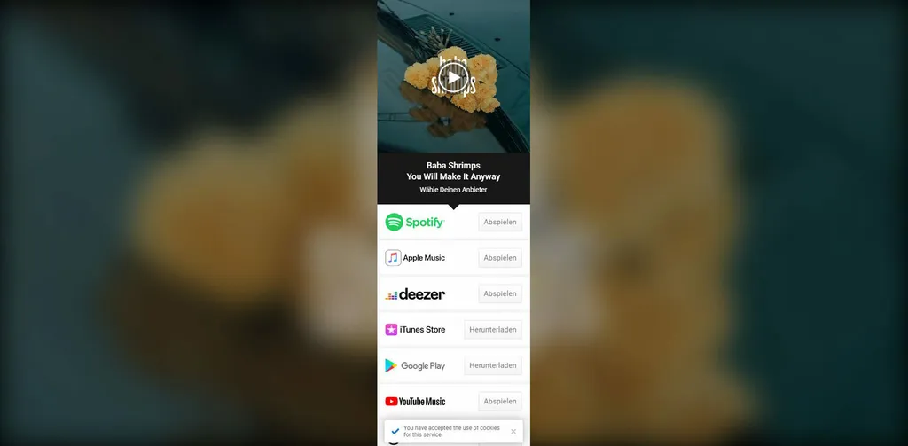 Baba Shrimps firelink