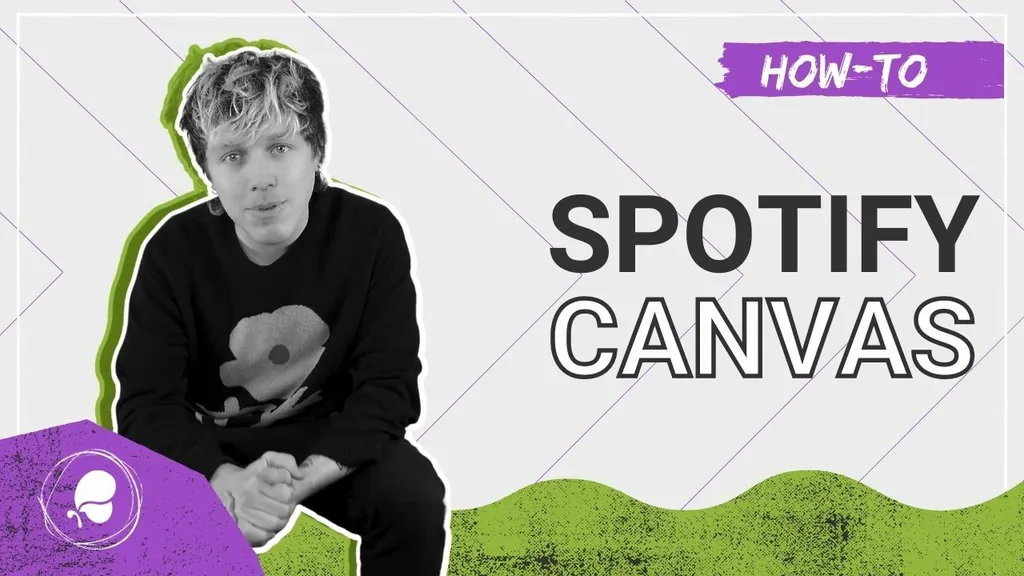 Spotify Canvas Tutorial iMusician