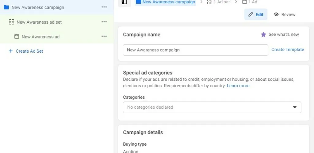 Details facebook campaign