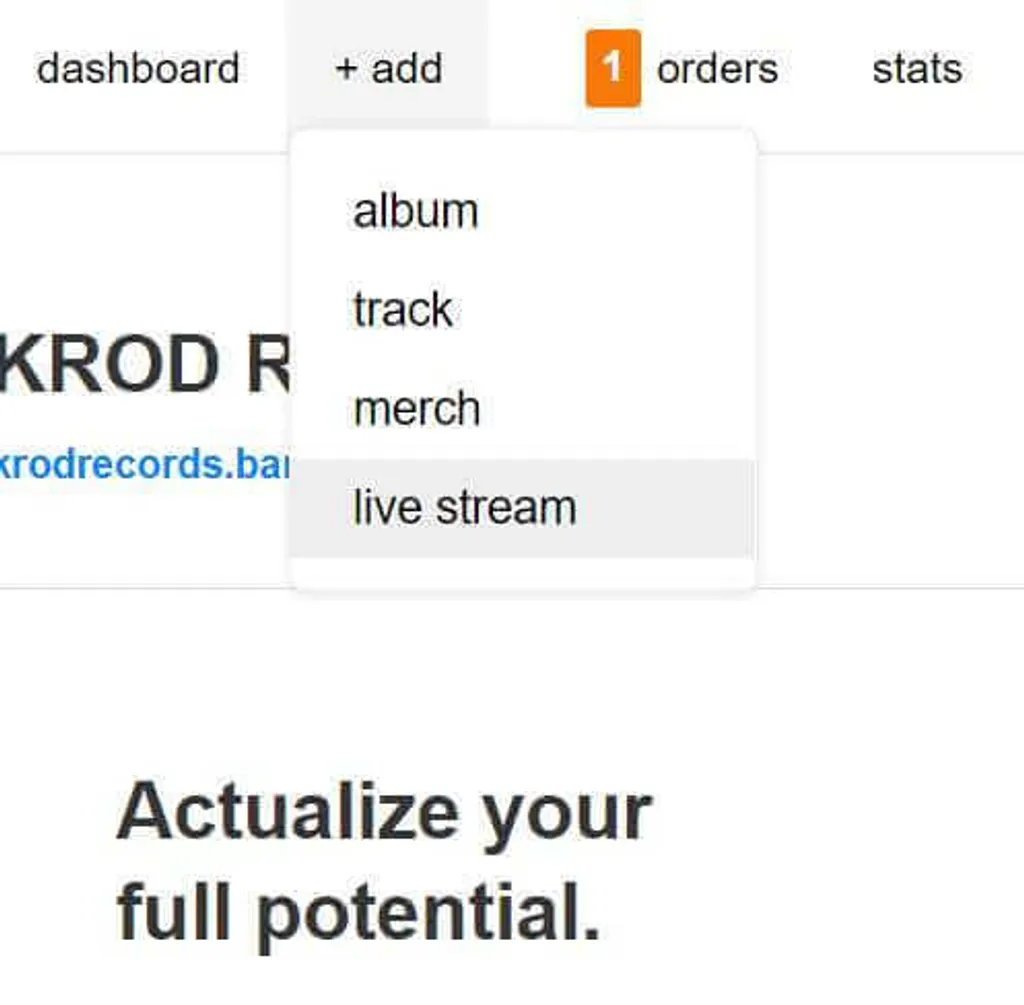 Live stream bandcamp