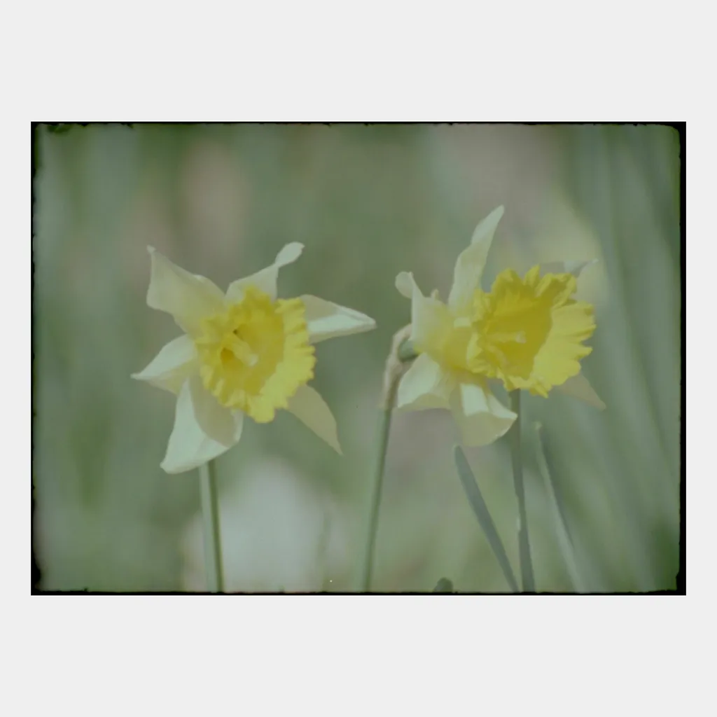 Artwork Officiel Simple as Can Be par Xavier Polycarpe